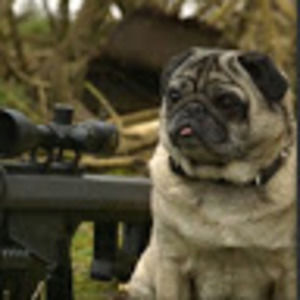 Meet your Posher, Universe